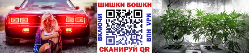 Бошки Шишки Amnesia  mega как войти  Пестово 
